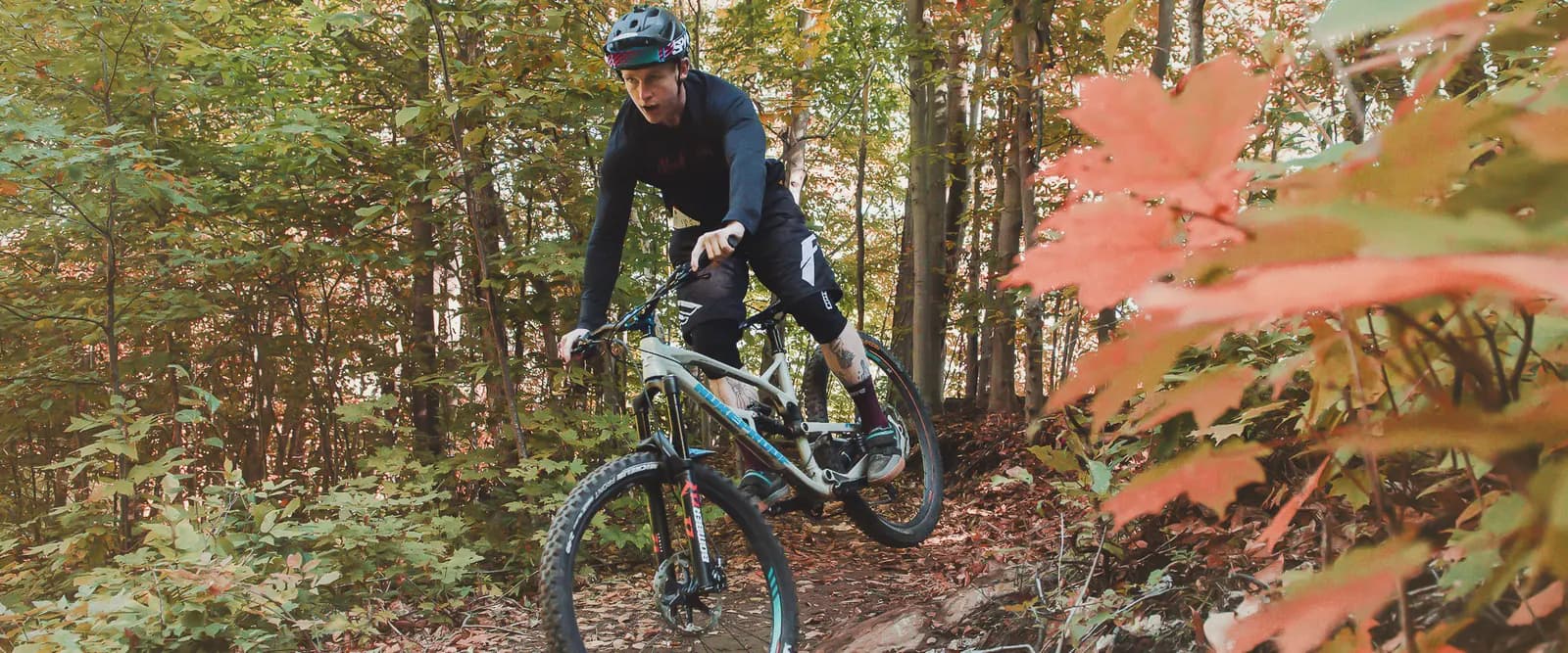 Camp Fortune Bike Park mountain biking
