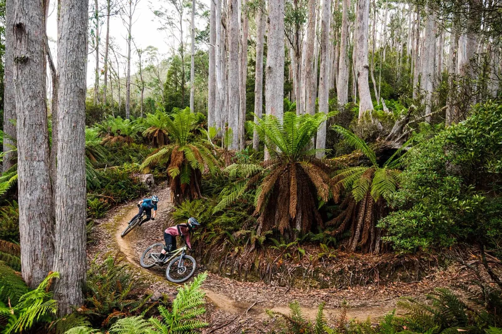 Maydena Bike Park mountain biking