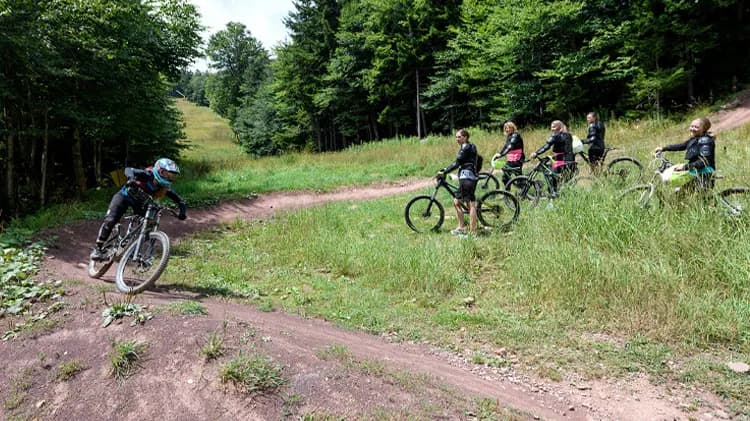 Snowshoe Bike Park mountain biking