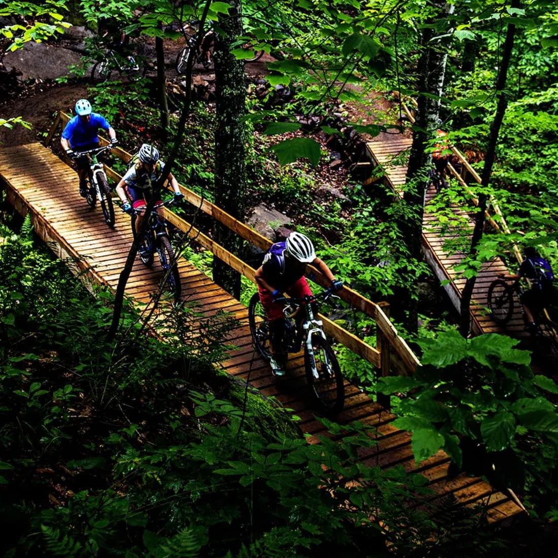 Velo MSM mountain biking