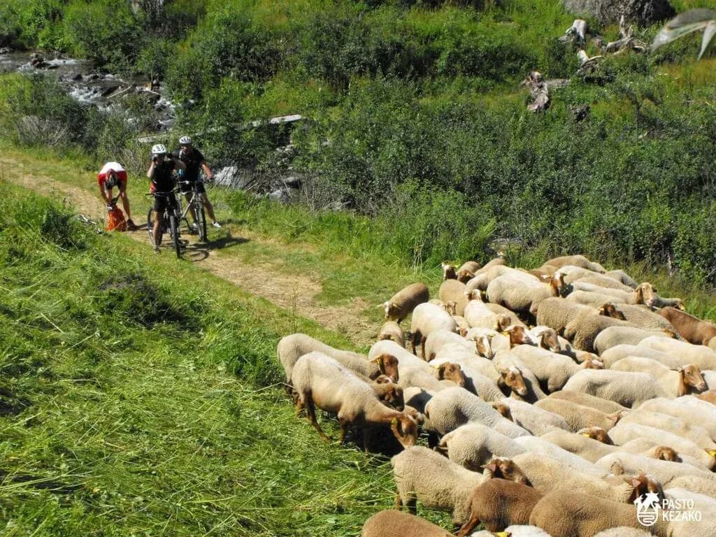 Alpe d'Huez mountain biking