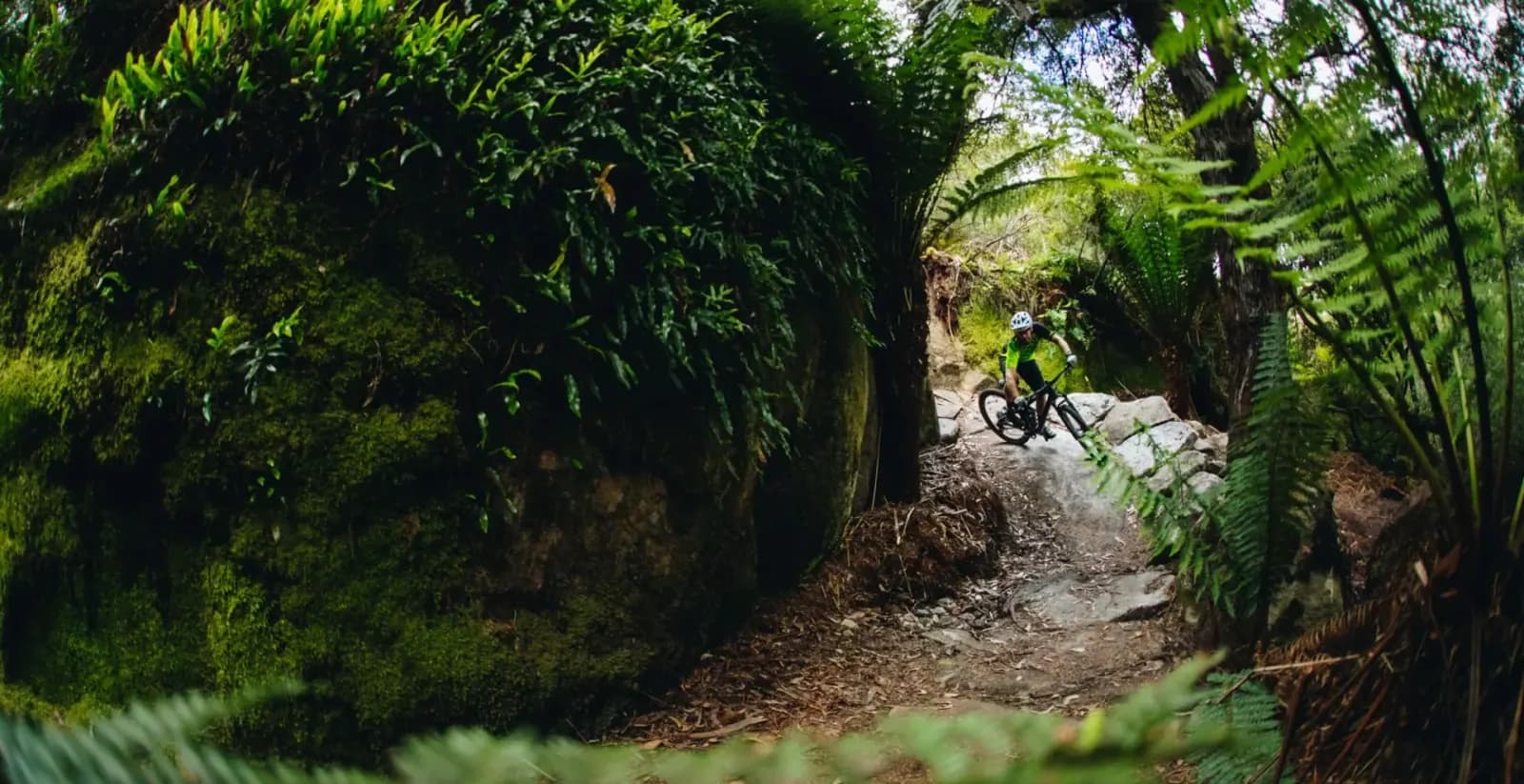 Blue Derby Mountain Bike Trails mountain biking