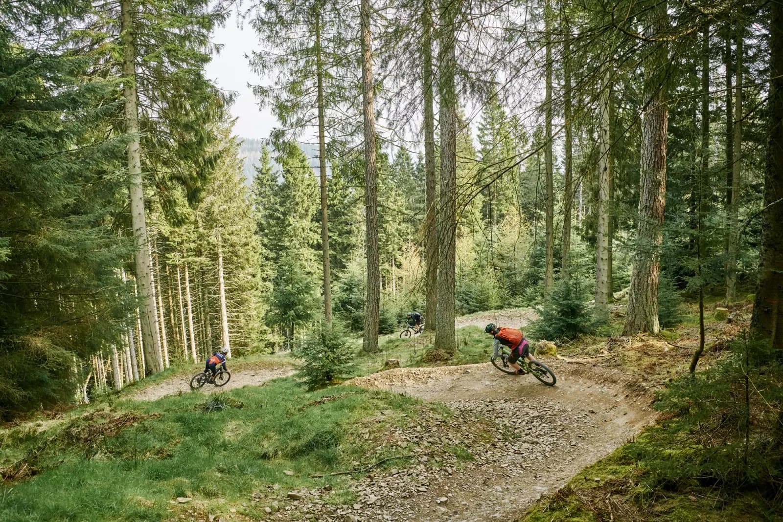 Glentress mountain biking