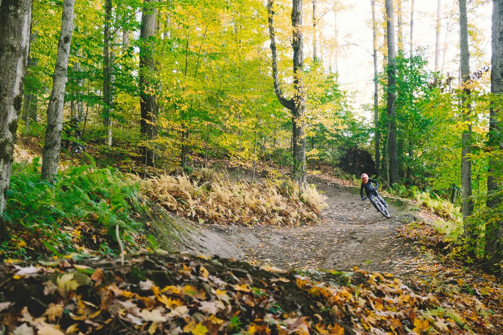 HoliMont Bike Park mountain biking