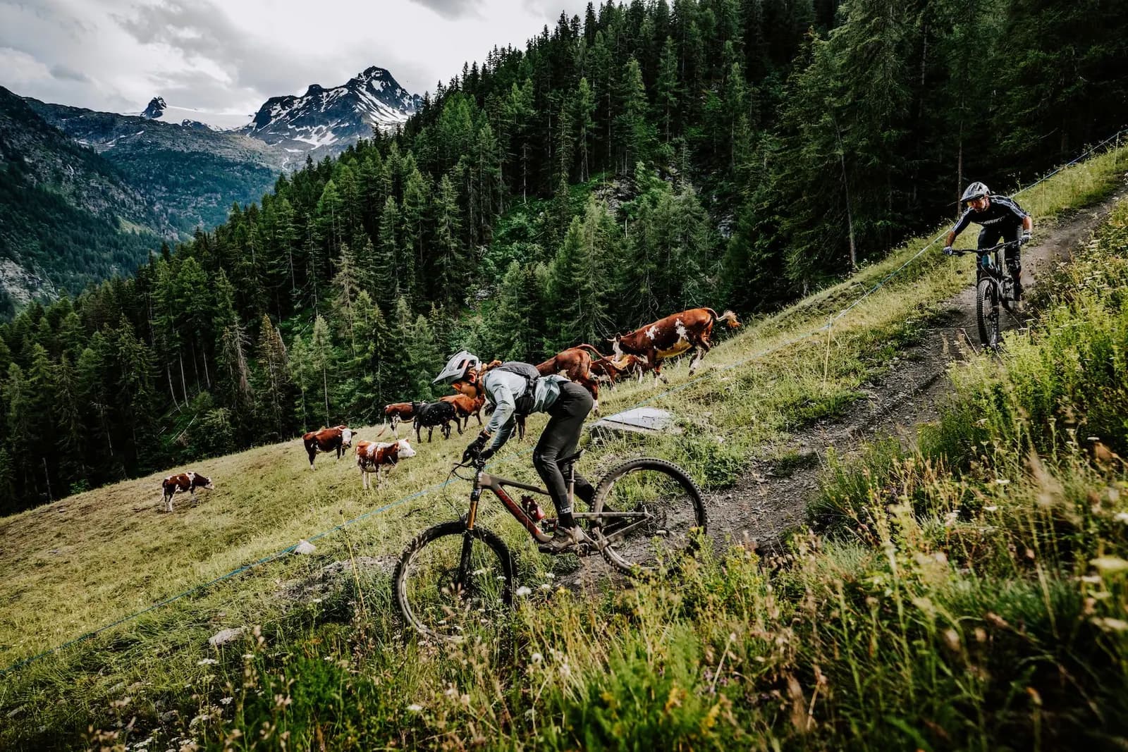 La Thuile Bike Park mountain biking