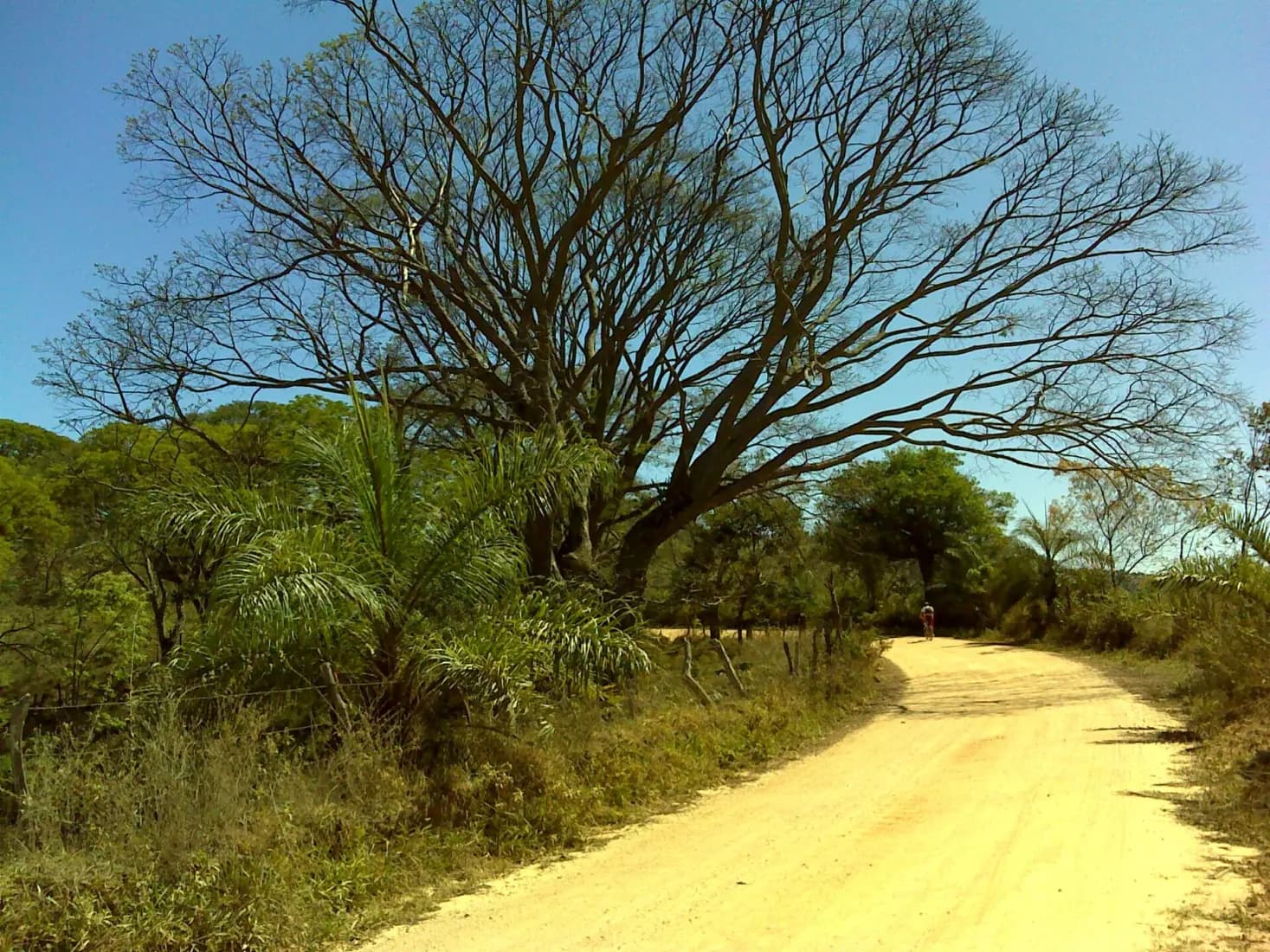 Minas Gerais mountain biking