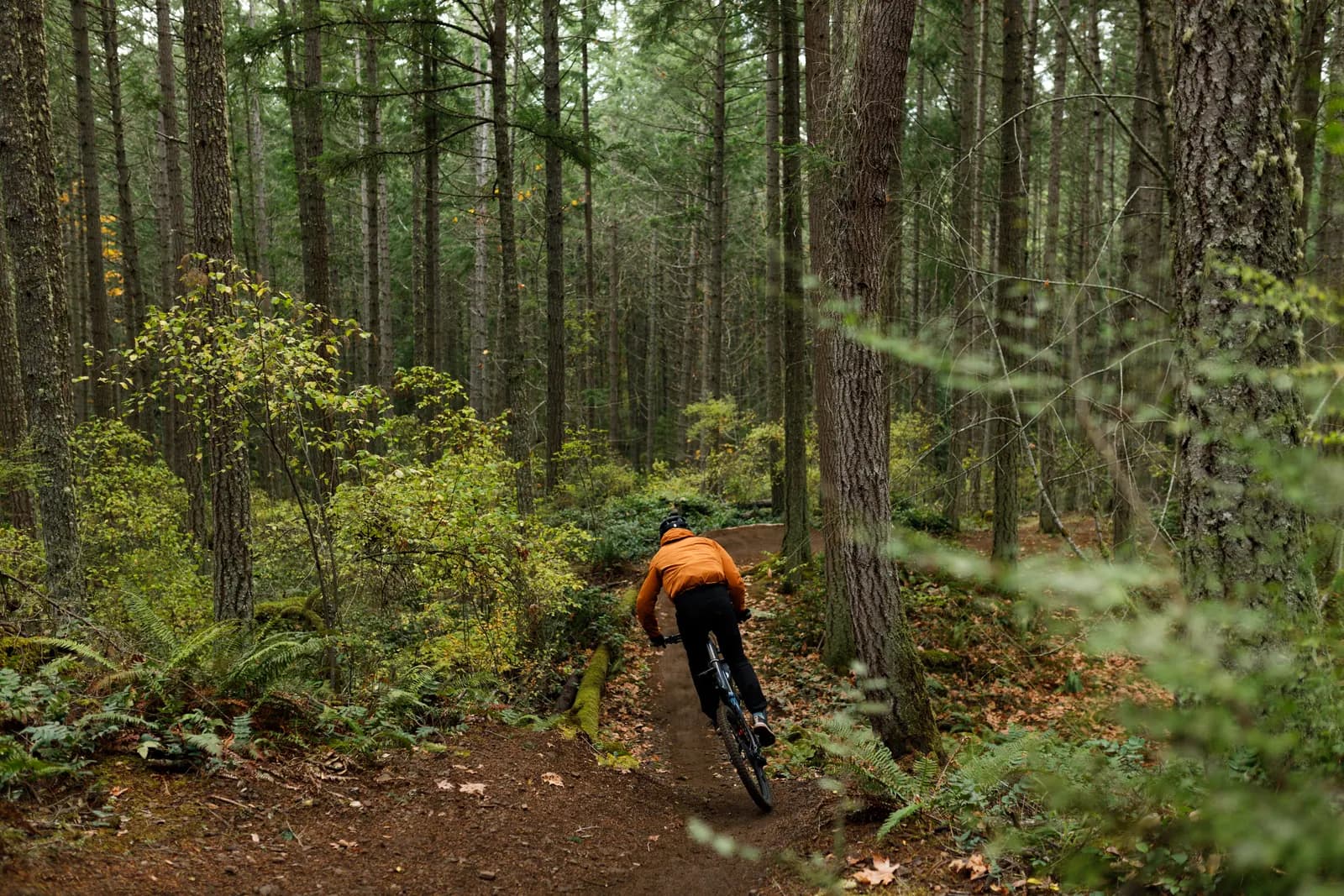 Mount Tzouhalem mountain biking